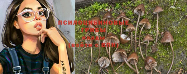 дурь Дмитров