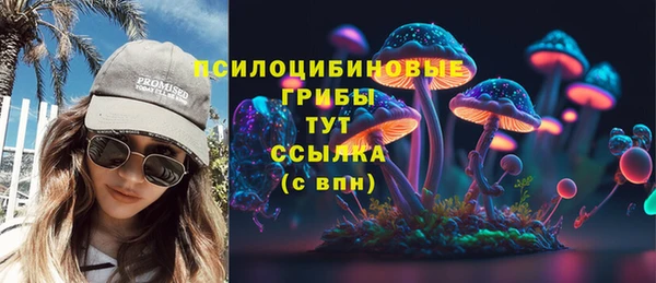 прущий лед Ельня