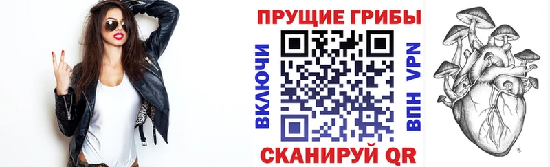 blacksprut вход  Карабаново  Галлюциногенные грибы ЛСД  купить закладку 